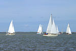 Rum-Fass-Regatta