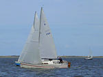 Rum-Fass-Regatta