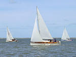 Rum-Fass-Regatta