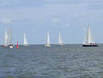 Rum-Fass-Regatta