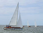 Rum-Fass-Regatta