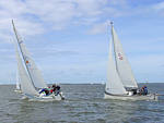 Rum-Fass-Regatta