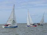 Rum-Fass-Regatta