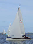 Rum-Fass-Regatta