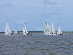 Rum-Fass-Regatta