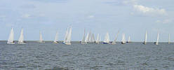 Rum-Fass-Regatta