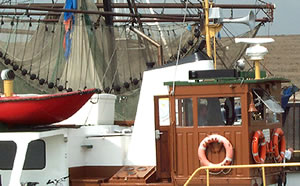 Hafen Petkum