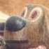 Die Stimme seines Herrn - His masters voice