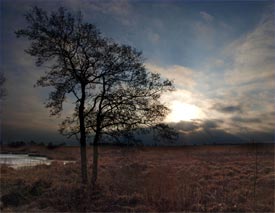 Ewiges Meer