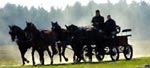 Reit- und Fahrclub Moorlage