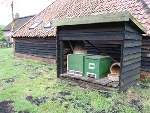 Bienenstock