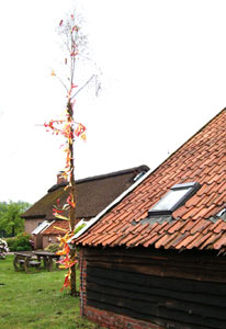 Maibaum